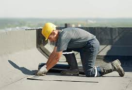 Professional Roofing service in Hebbronville, TX